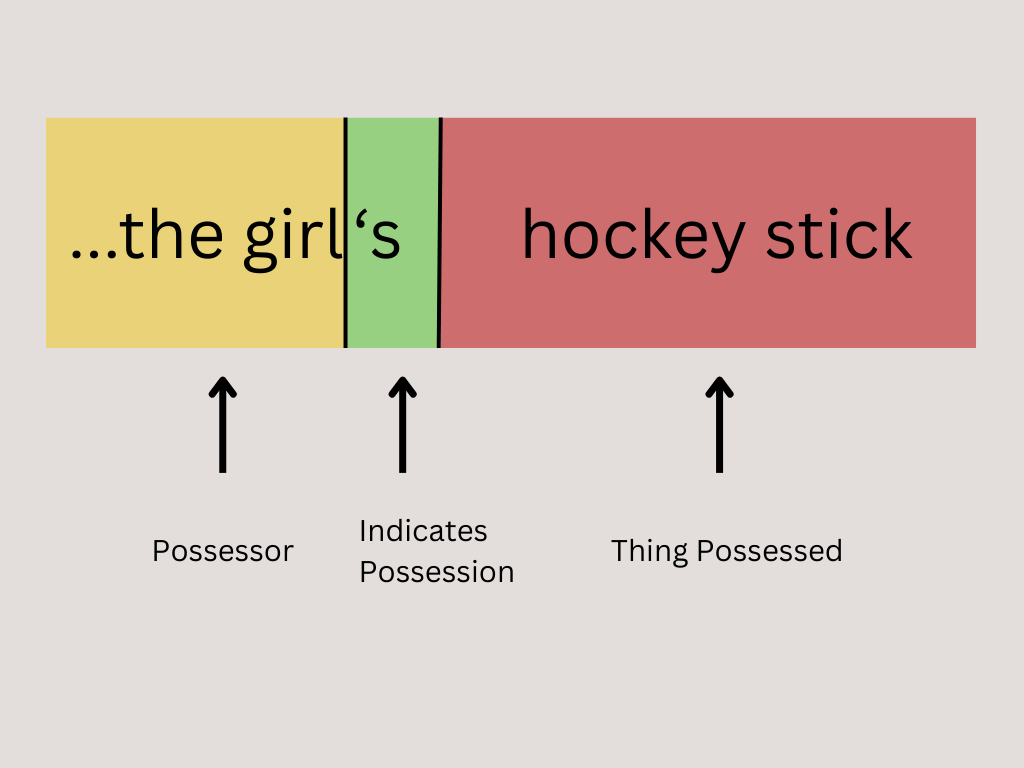 Modern English Inflection