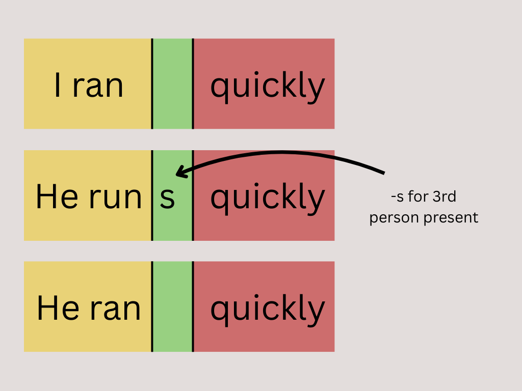 Verb Inflection